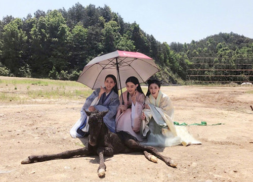 出游季夏曰炎炎，草帽加連衣裙絕對(duì)是標(biāo)配，暑期防曬全攻略！